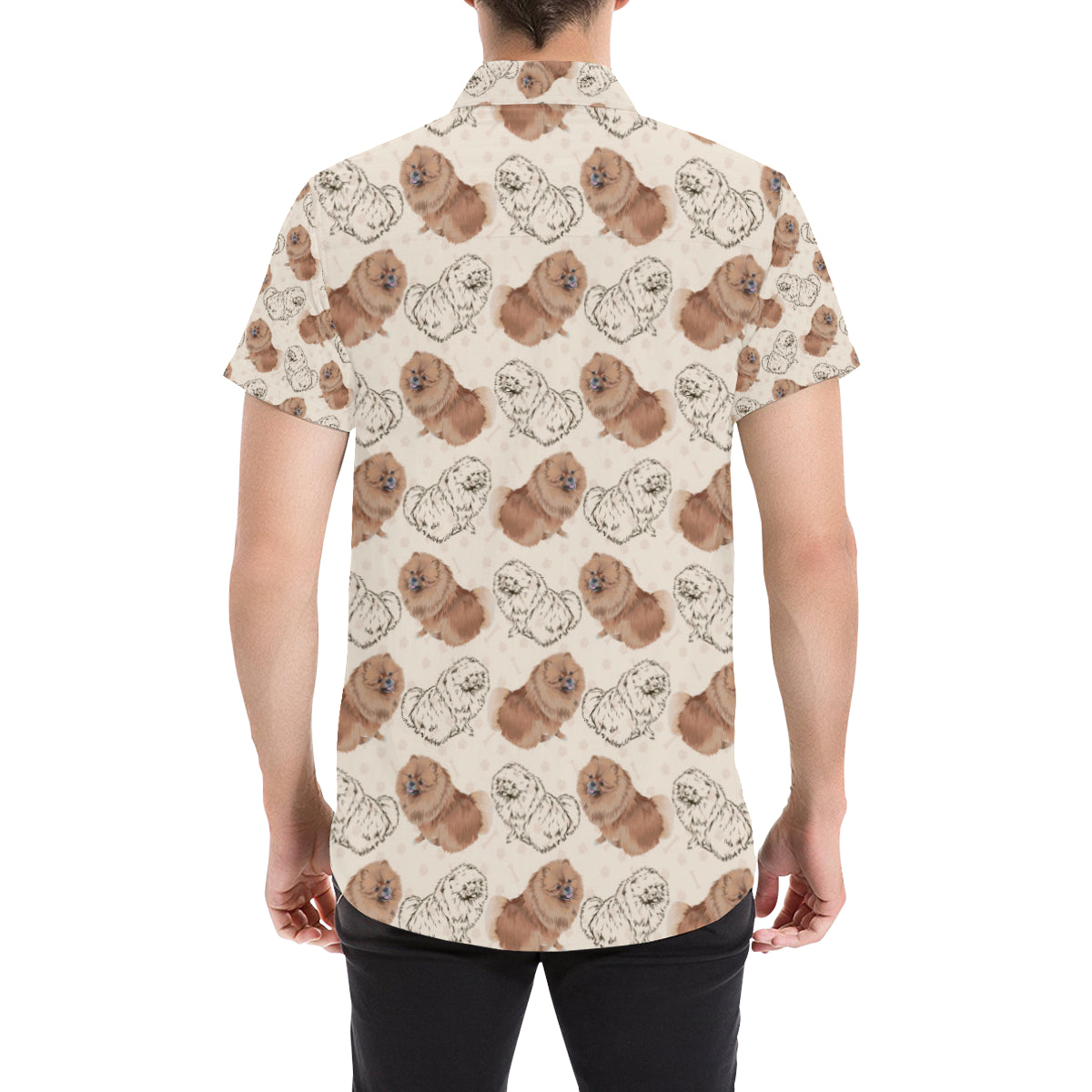 Pomeranians Pattern Print Design A01 Men's Short Sleeve Button Up Shirt