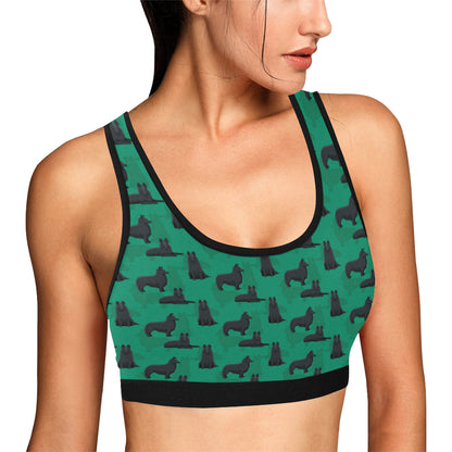 Belgian Sheepdog Pattern Print Design 01 Sports Bra
