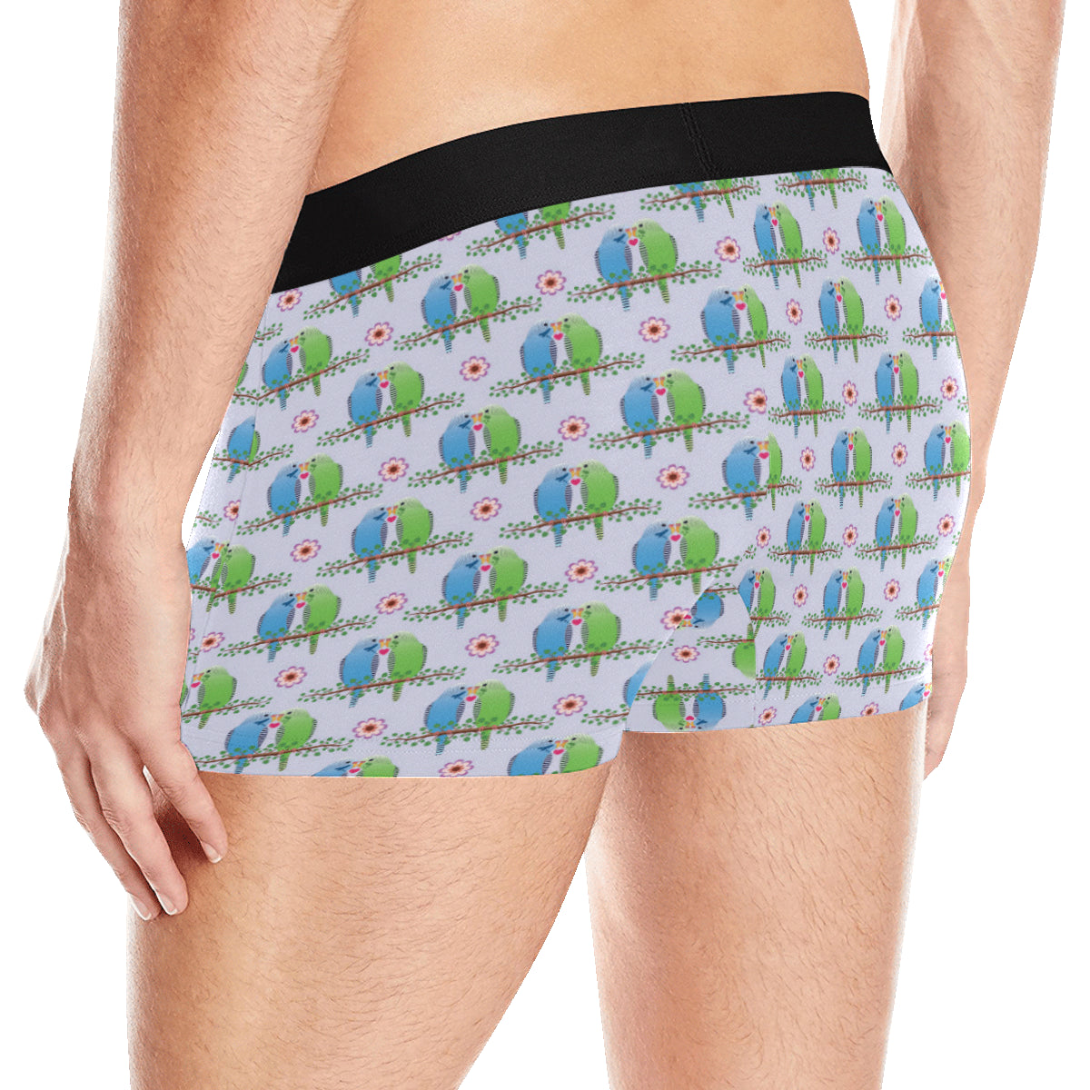 Budgerigar Pattern Print Design 05 Men's Boxer Briefs