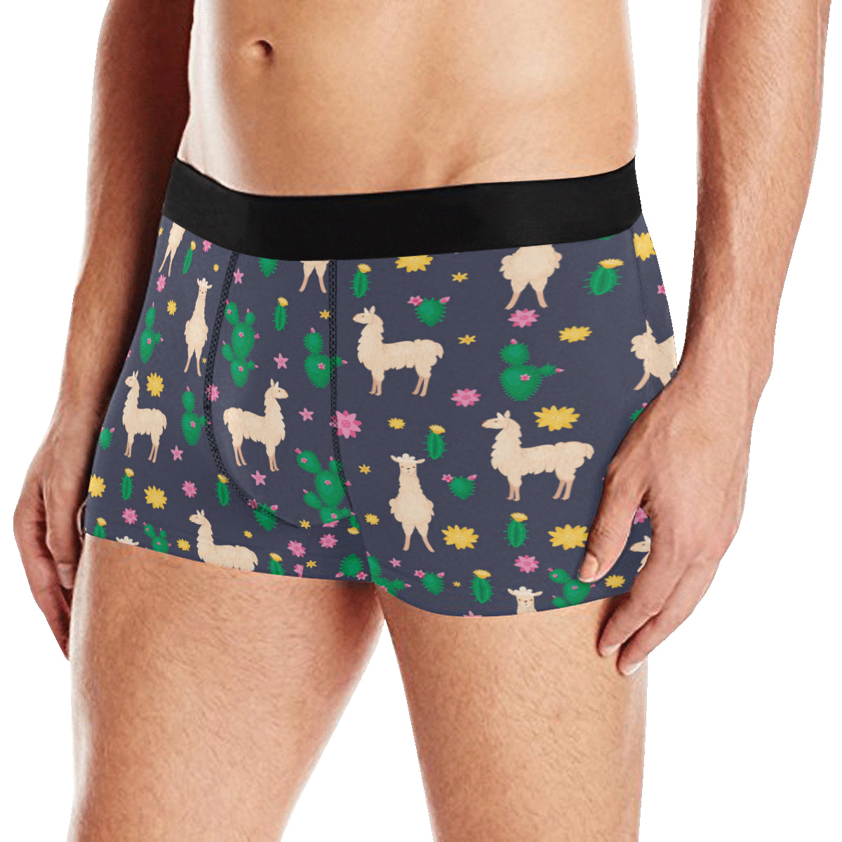 Llama Cactus Pattern Print Design 012 Men's Boxer Briefs