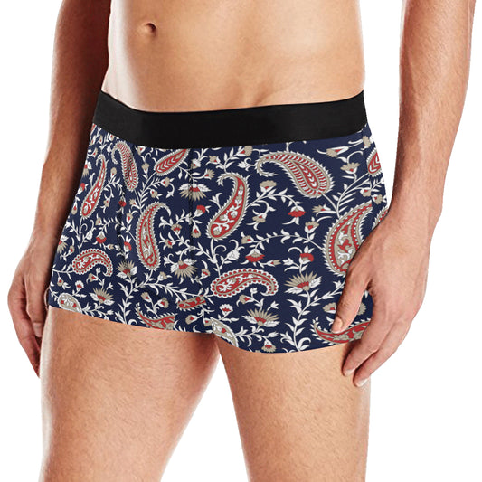 Paisley Pattern Print Design A05 Men's Boxer Briefs