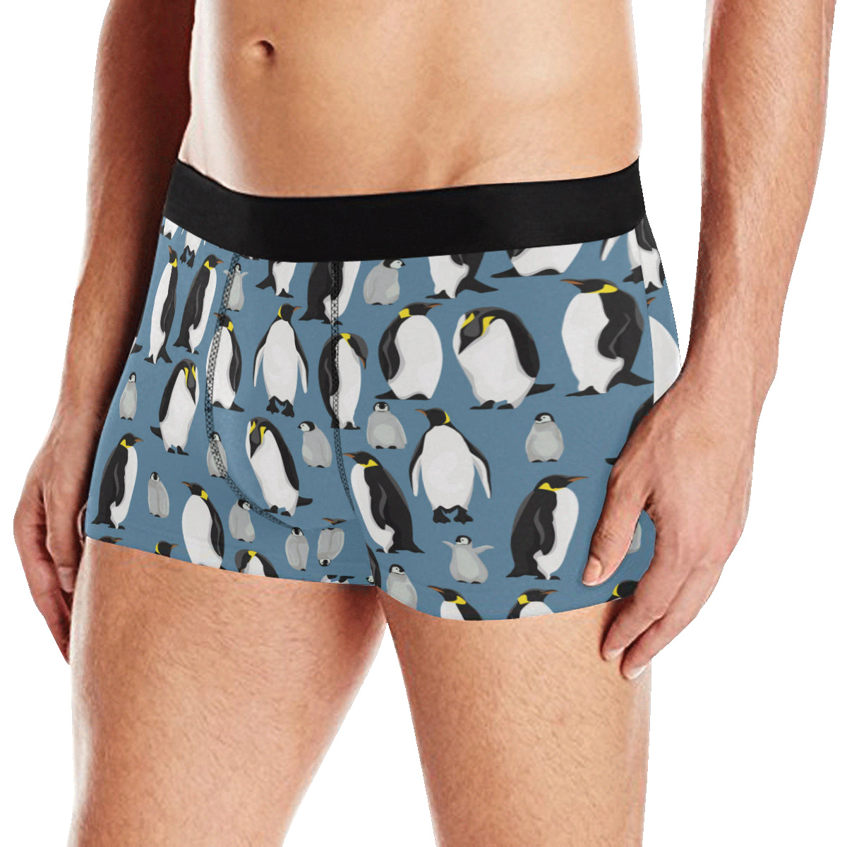 Penguin Pattern Print Design A03 Men's Boxer Briefs