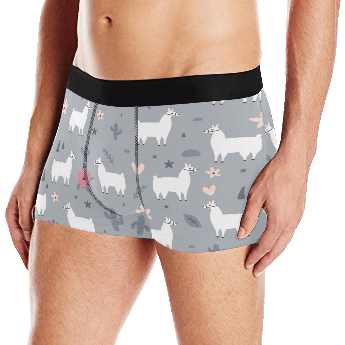Llama Pattern Print Design 010 Men's Boxer Briefs