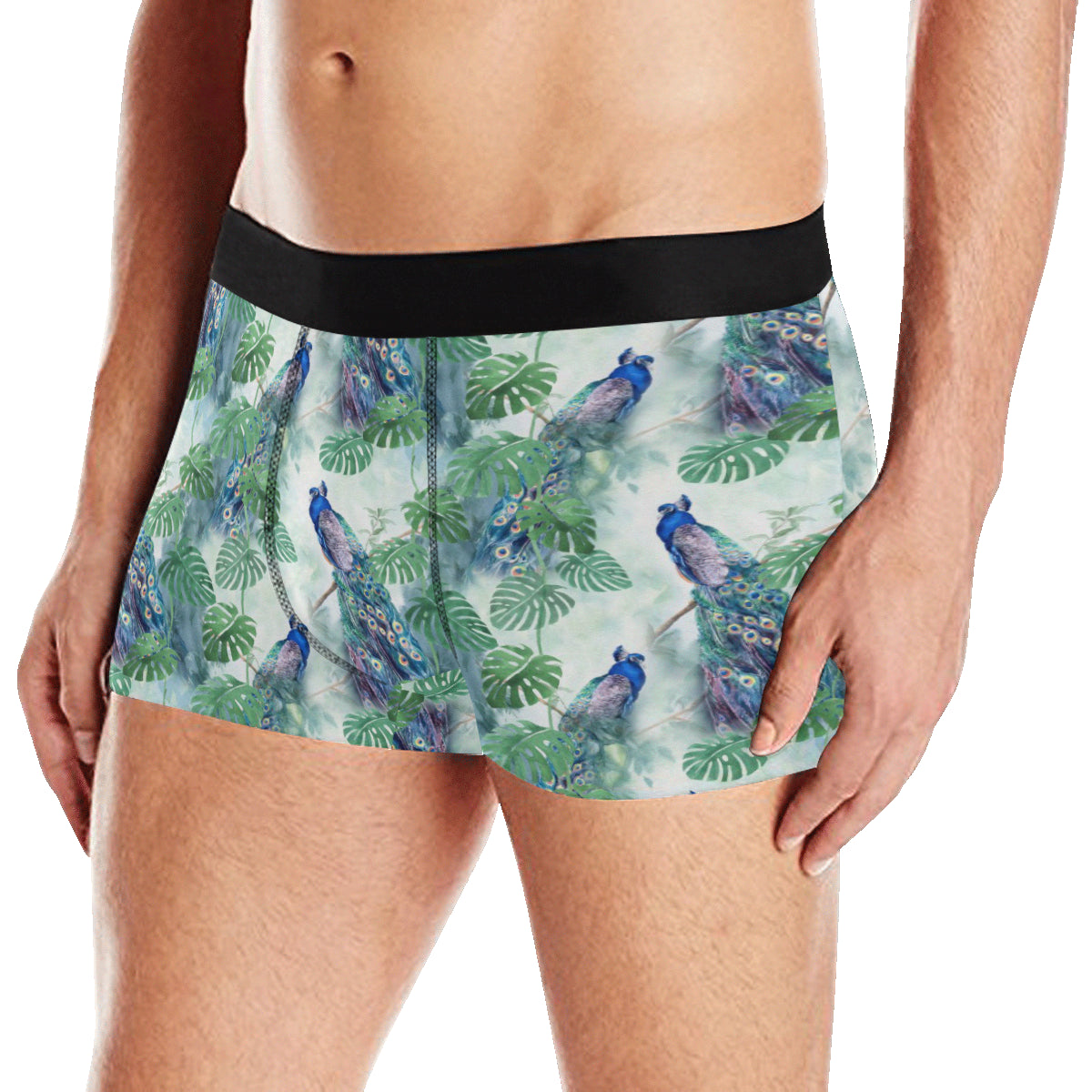 Peacock Pattern Print Design A02 Men's Boxer Briefs