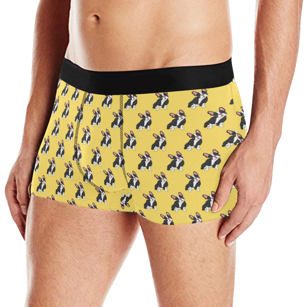 Boston Terrier Pattern Print Design 06 Men's Boxer Briefs