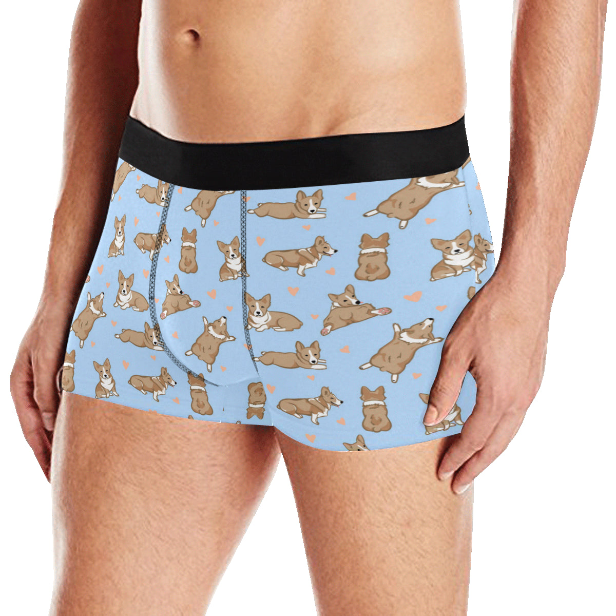 Pembroke Welsh Corgis Pattern Print Design A05 Men's Boxer Briefs