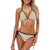 Hydrangea Pattern Print Design HD02 Bikini