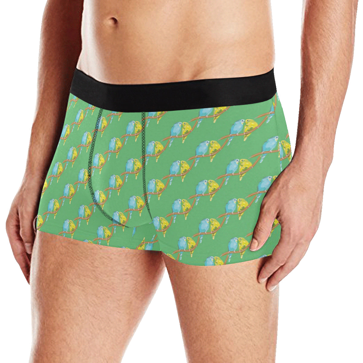 Budgerigar Pattern Print Design 01 Men's Boxer Briefs