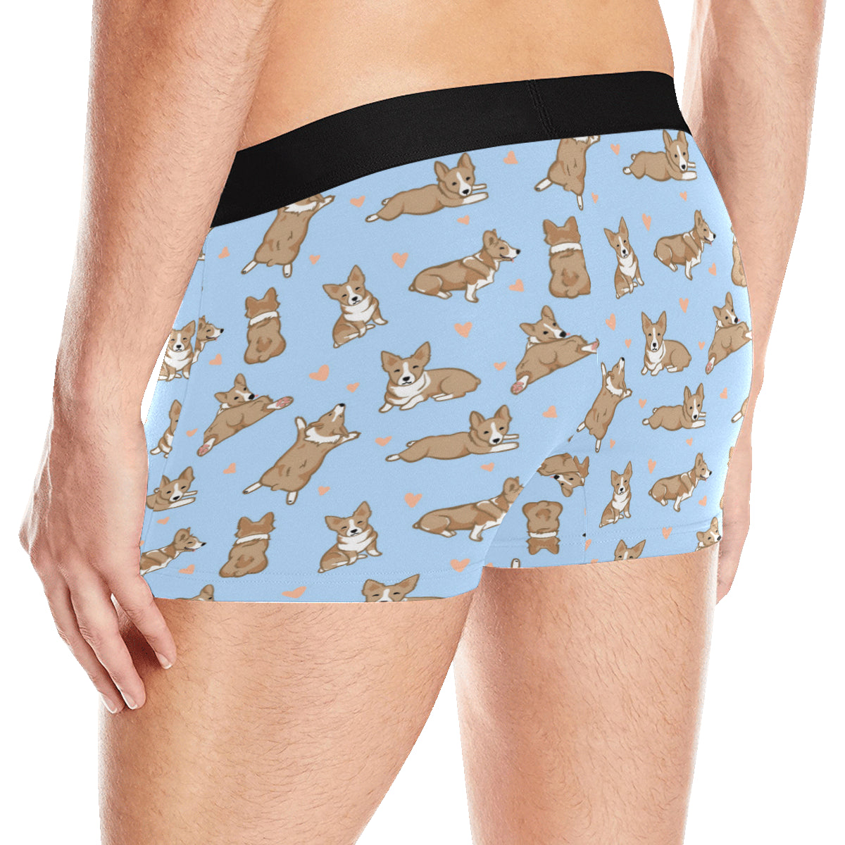 Pembroke Welsh Corgis Pattern Print Design A05 Men's Boxer Briefs