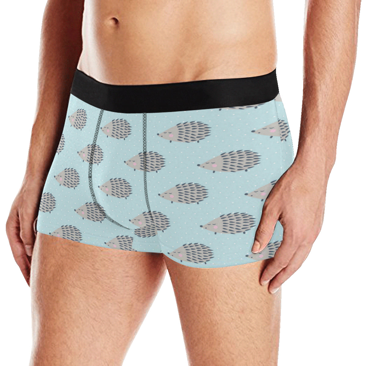Hedgehog Pattern Print Design 02 Men's Boxer Briefs
