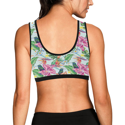 Hummingbird Tropical Pattern Print Design 05 Sports Bra