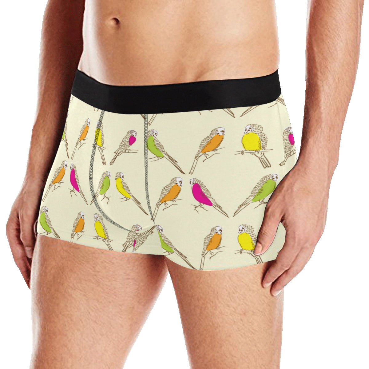 Parakeet Pattern Print Design A01 Men's Boxer Briefs