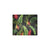 Bird Of Paradise Pattern Print Design BOP010 Men's ID Card Wallet