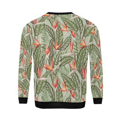 Bird Of Paradise Pattern Print Design BOP08 Men Long Sleeve Sweatshirt