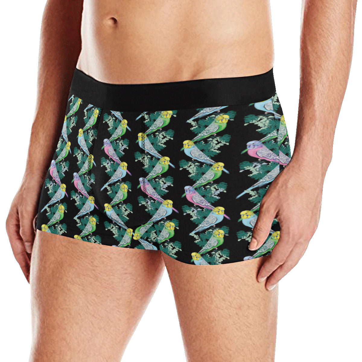Budgerigar Pattern Print Design 03 Men's Boxer Briefs