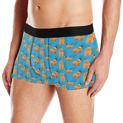 Briards Pattern Print Design 01 Men's Boxer Briefs