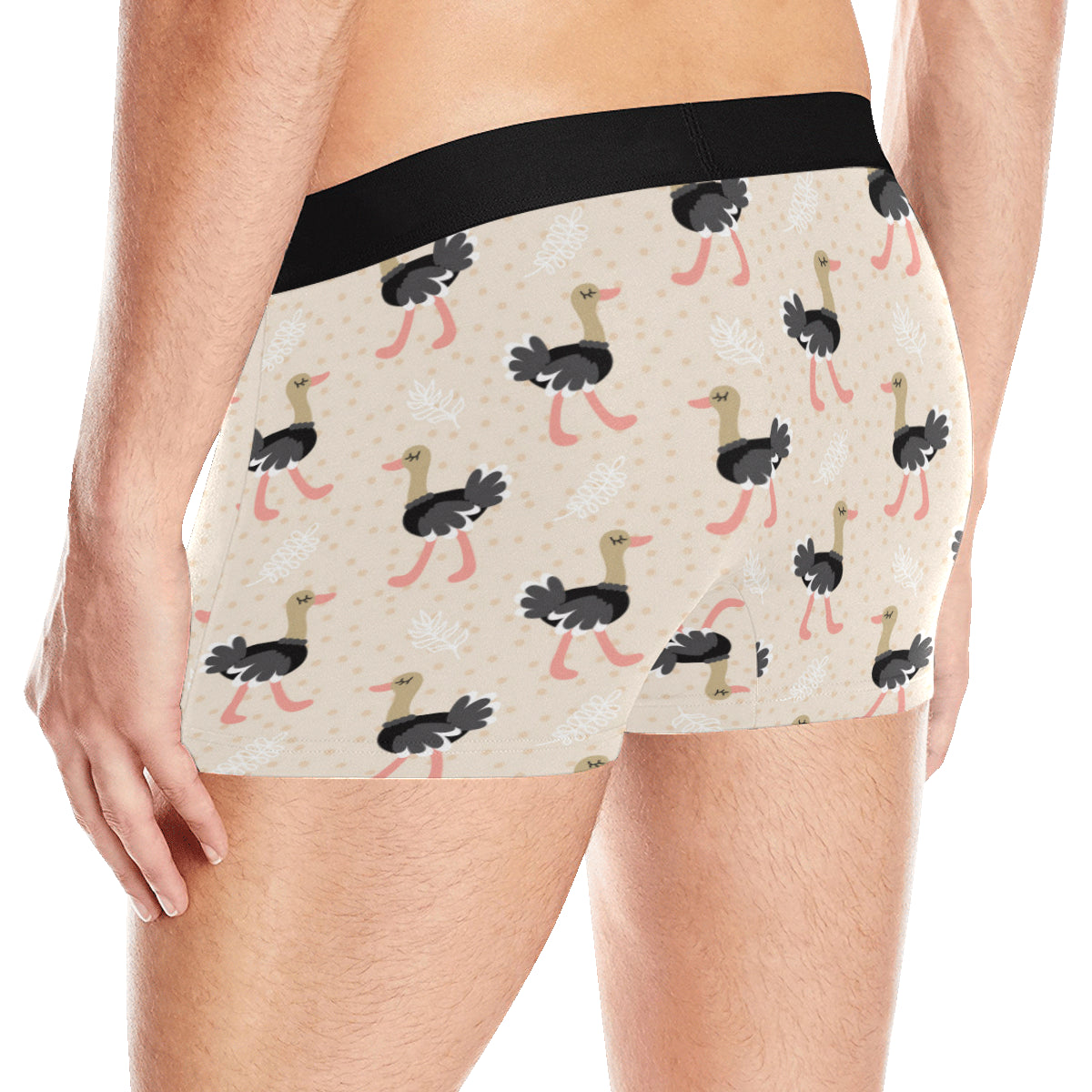Ostrich Pattern Print Design 02 Men's Boxer Briefs