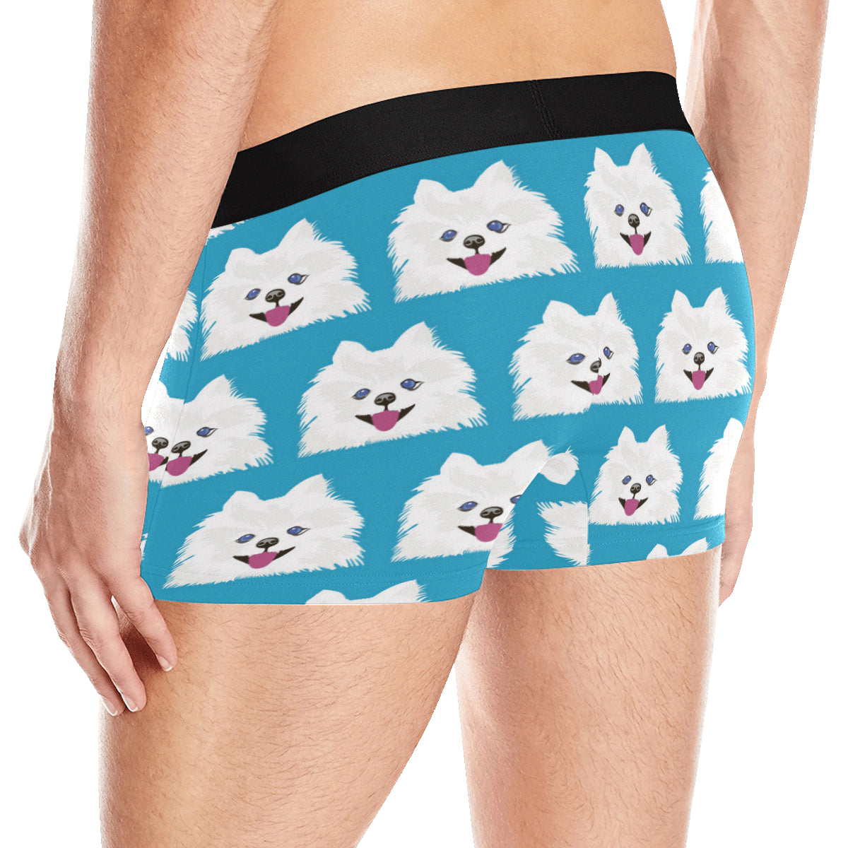 Pomeranians Pattern Print Design A05 Men's Boxer Briefs