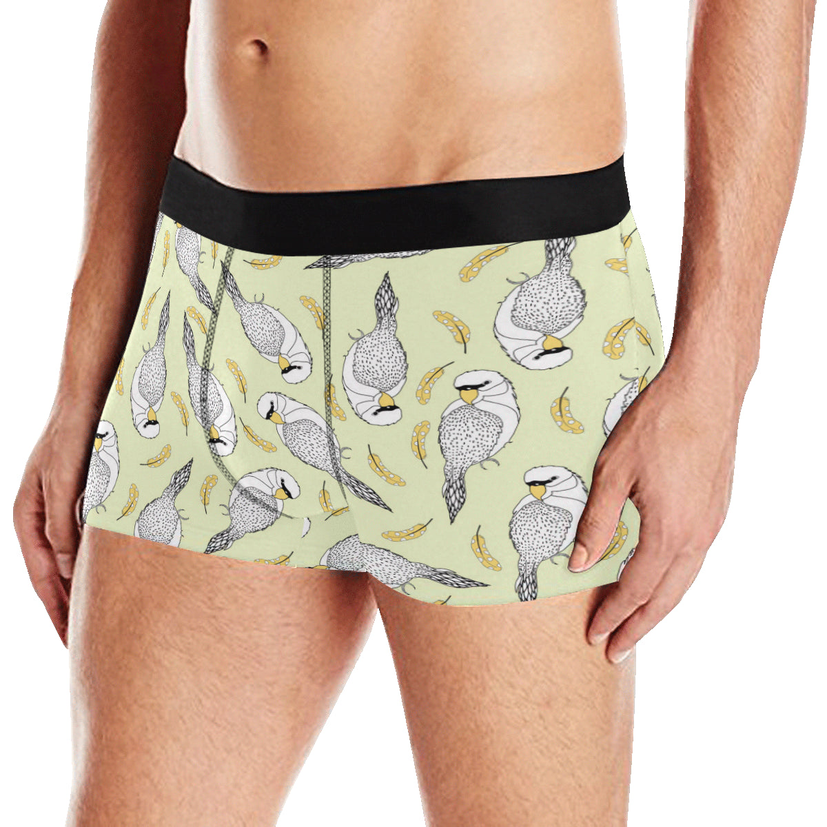 Parakeet Pattern Print Design A03 Men's Boxer Briefs