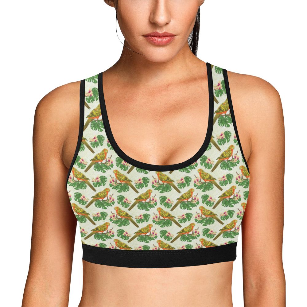 Conures Pattern Print Design 01 Sports Bra