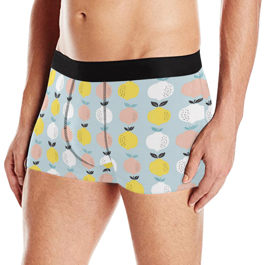 Citrus  Pattern Print Design 03 Men's Boxer Briefs