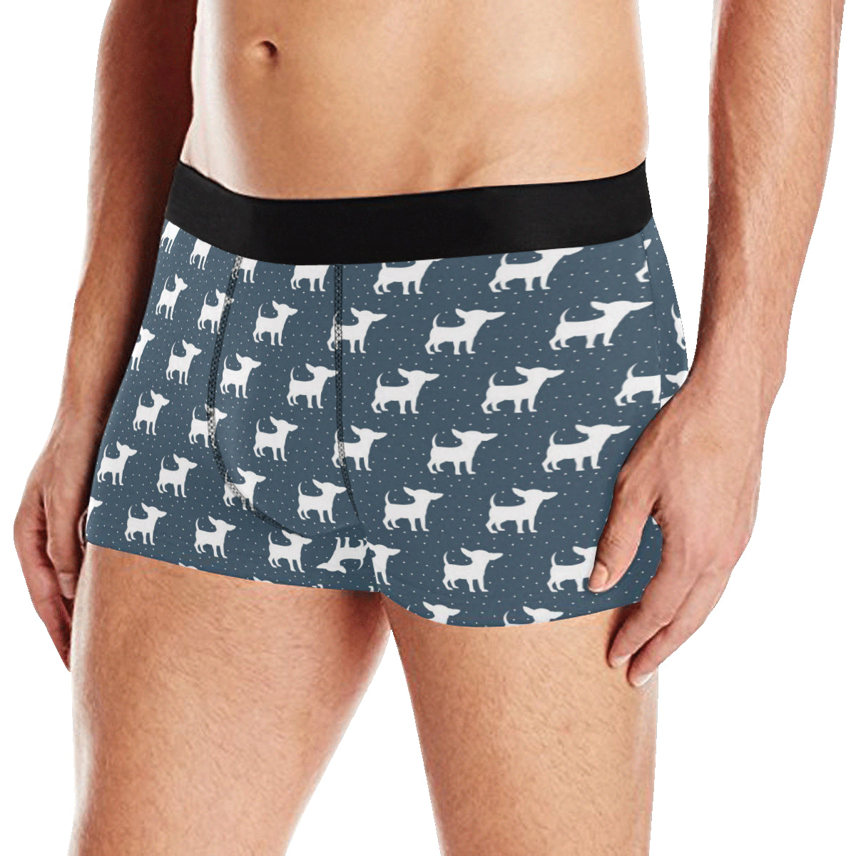 Chihuahua Pattern Print Design 03 Men's Boxer Briefs