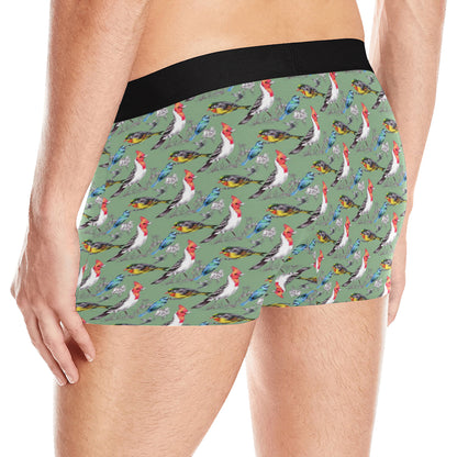 Birds Pattern Print Design 07 Men's Boxer Briefs