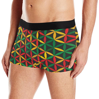 Rasta Pattern Print Design A04 Men's Boxer Briefs