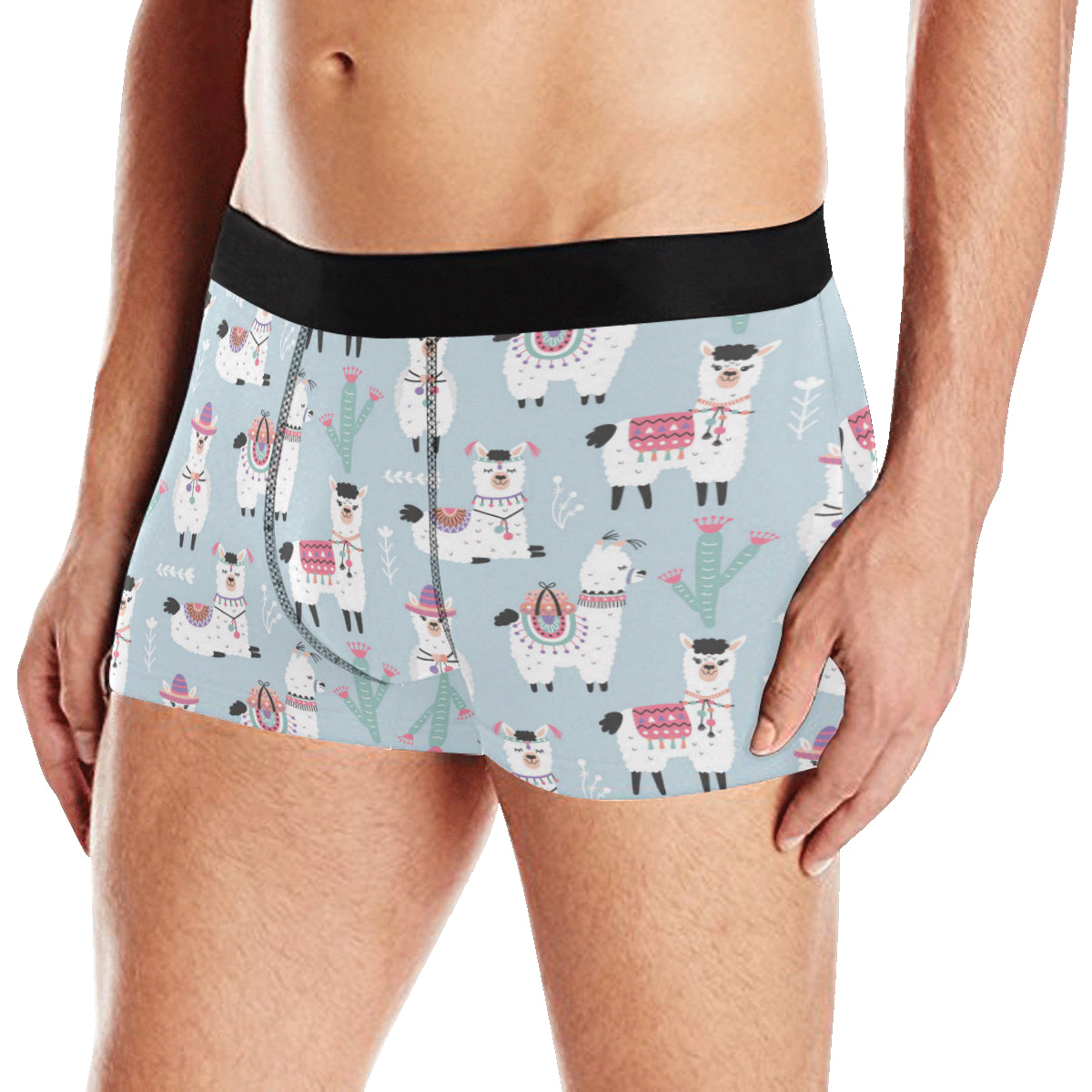 Llama Pattern Print Design 04 Men's Boxer Briefs