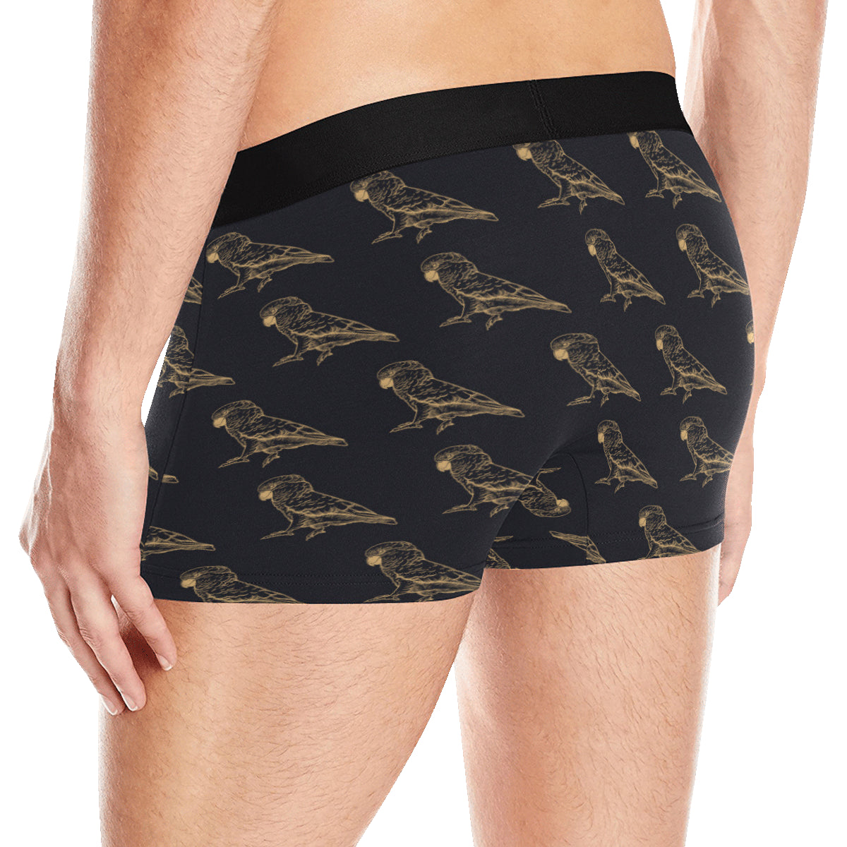 Parakeet Pattern Print Design A04 Men's Boxer Briefs
