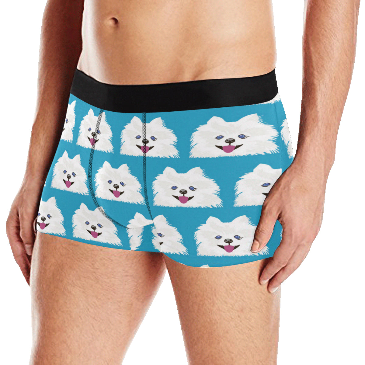 Pomeranians Pattern Print Design A05 Men's Boxer Briefs
