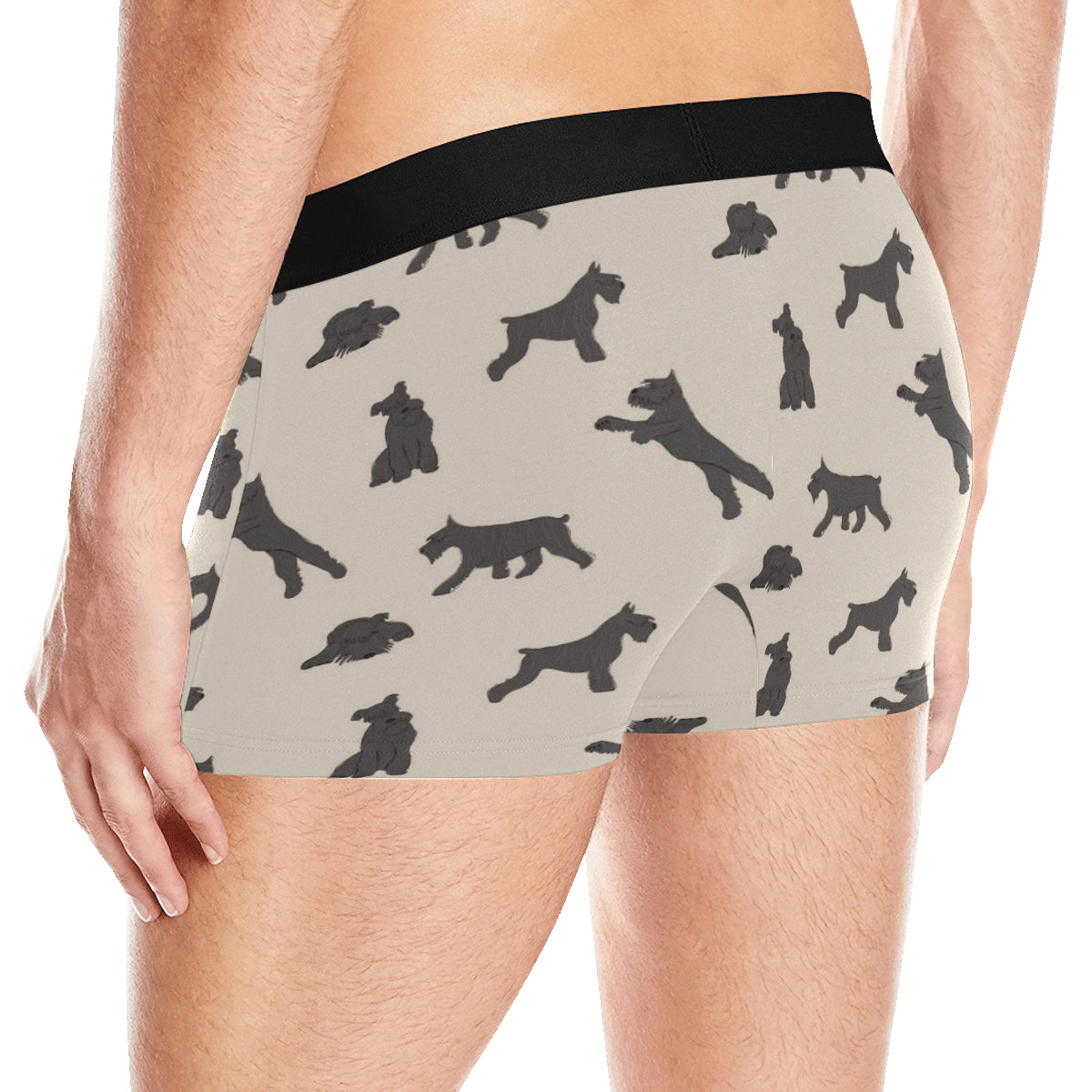 Schnauzers Pattern Print Design A06 Men's Boxer Briefs
