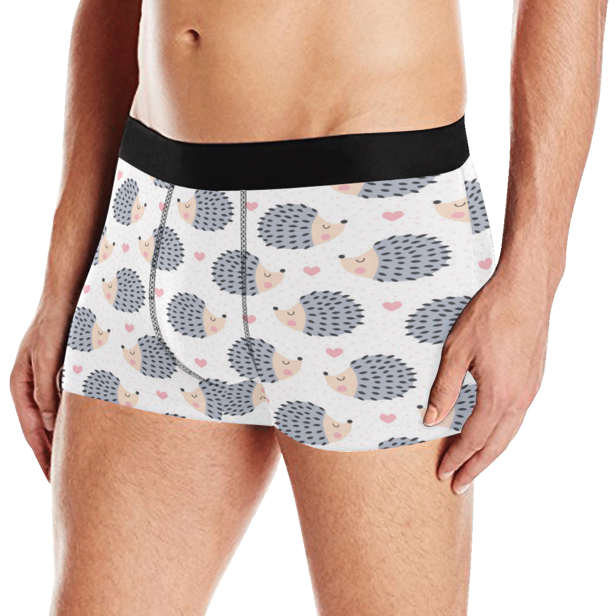 Hedgehog Baby Pattern Print Design 03 Men's Boxer Briefs