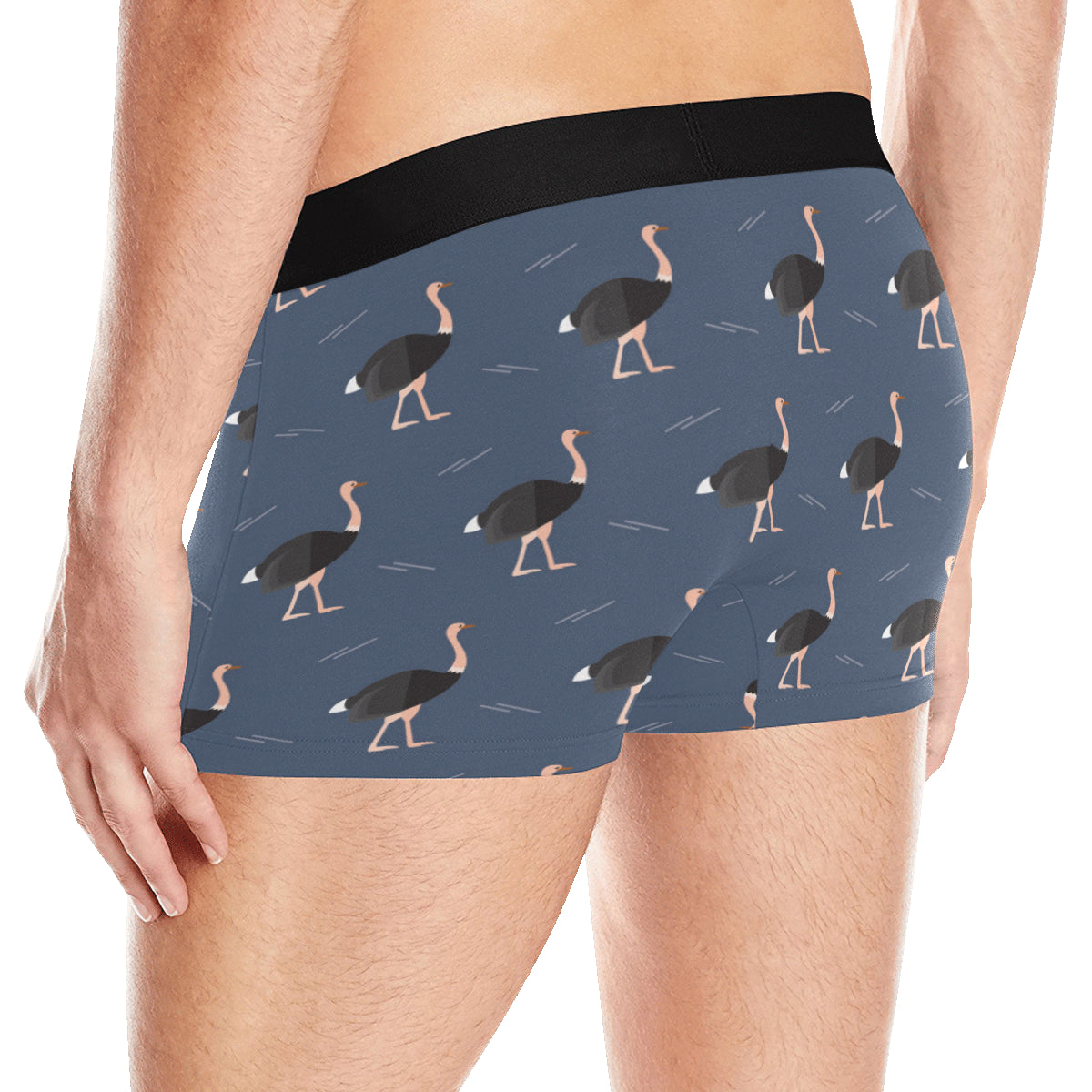 Ostrich Pattern Print Design 04 Men's Boxer Briefs