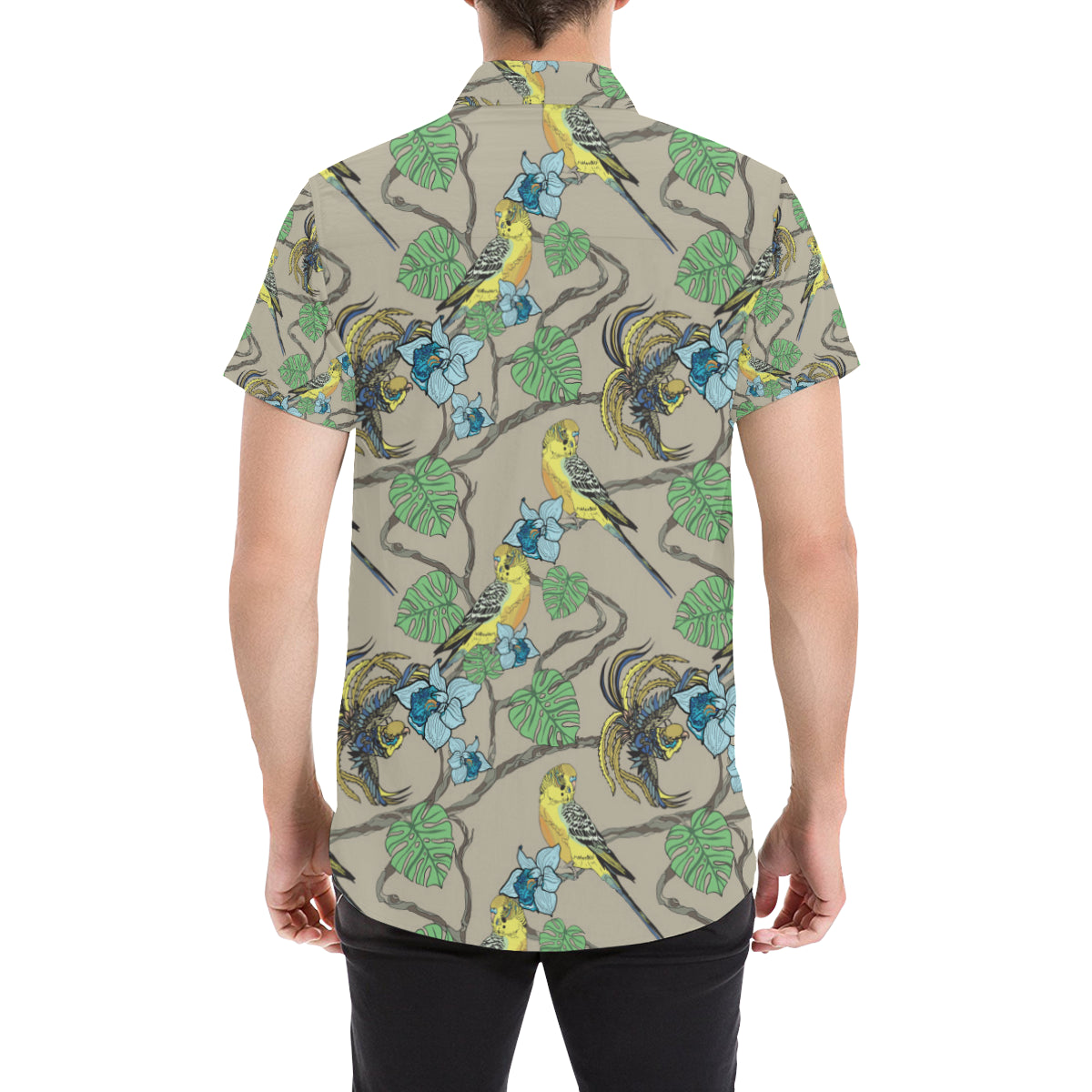 Parakeet Pattern Print Design A02 Men's Short Sleeve Button Up Shirt
