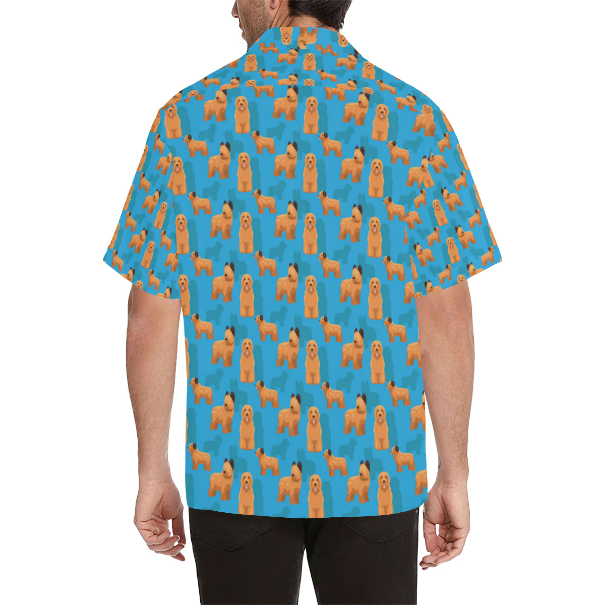 Briards Pattern Print Design 01 Men's Hawaiian Shirt