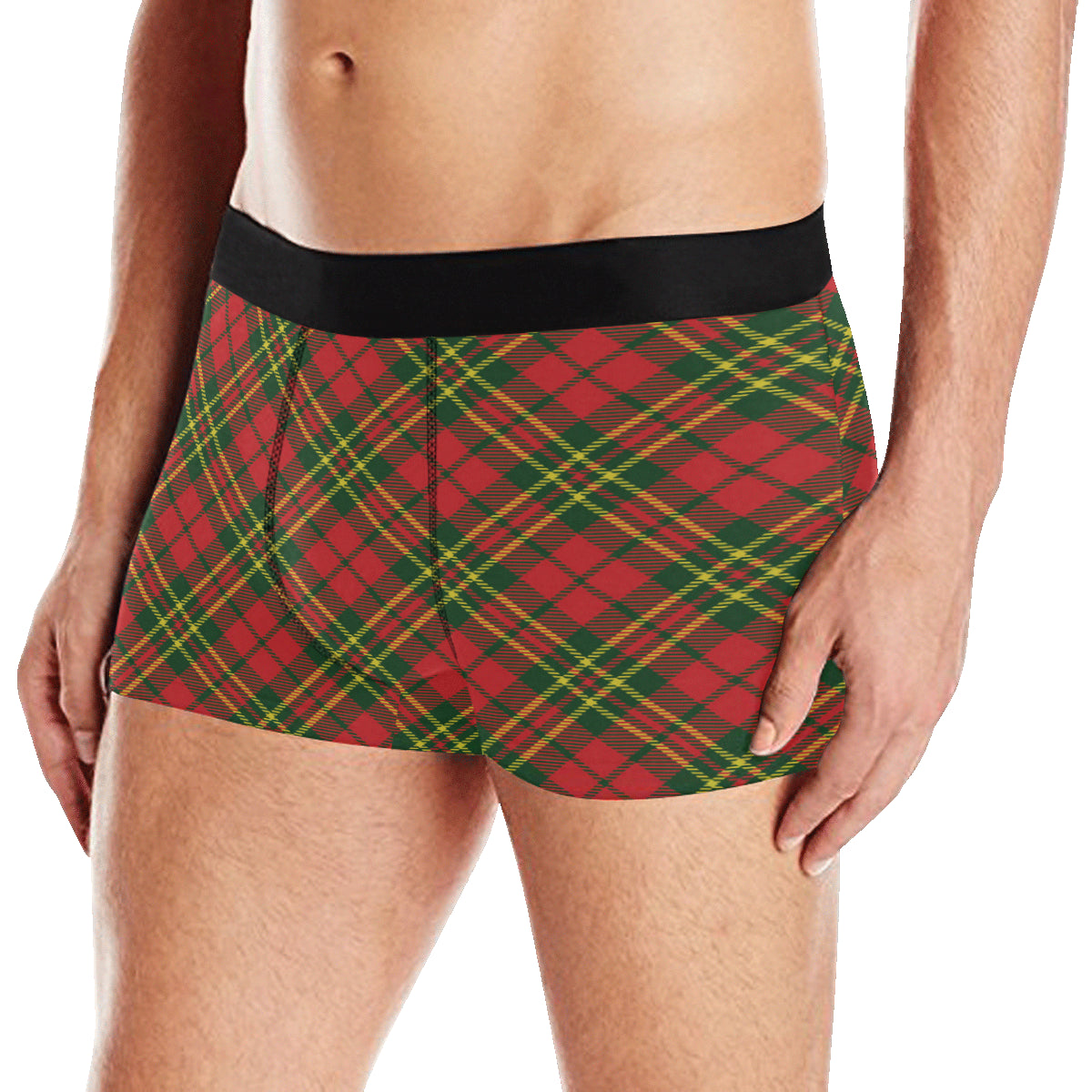 Plaid Holiday Pattern Print Design A01 Men's Boxer Briefs