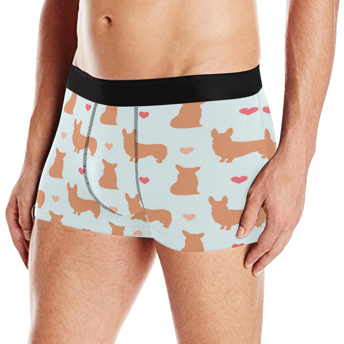Pembroke Welsh Corgis Pattern Print Design A01 Men's Boxer Briefs