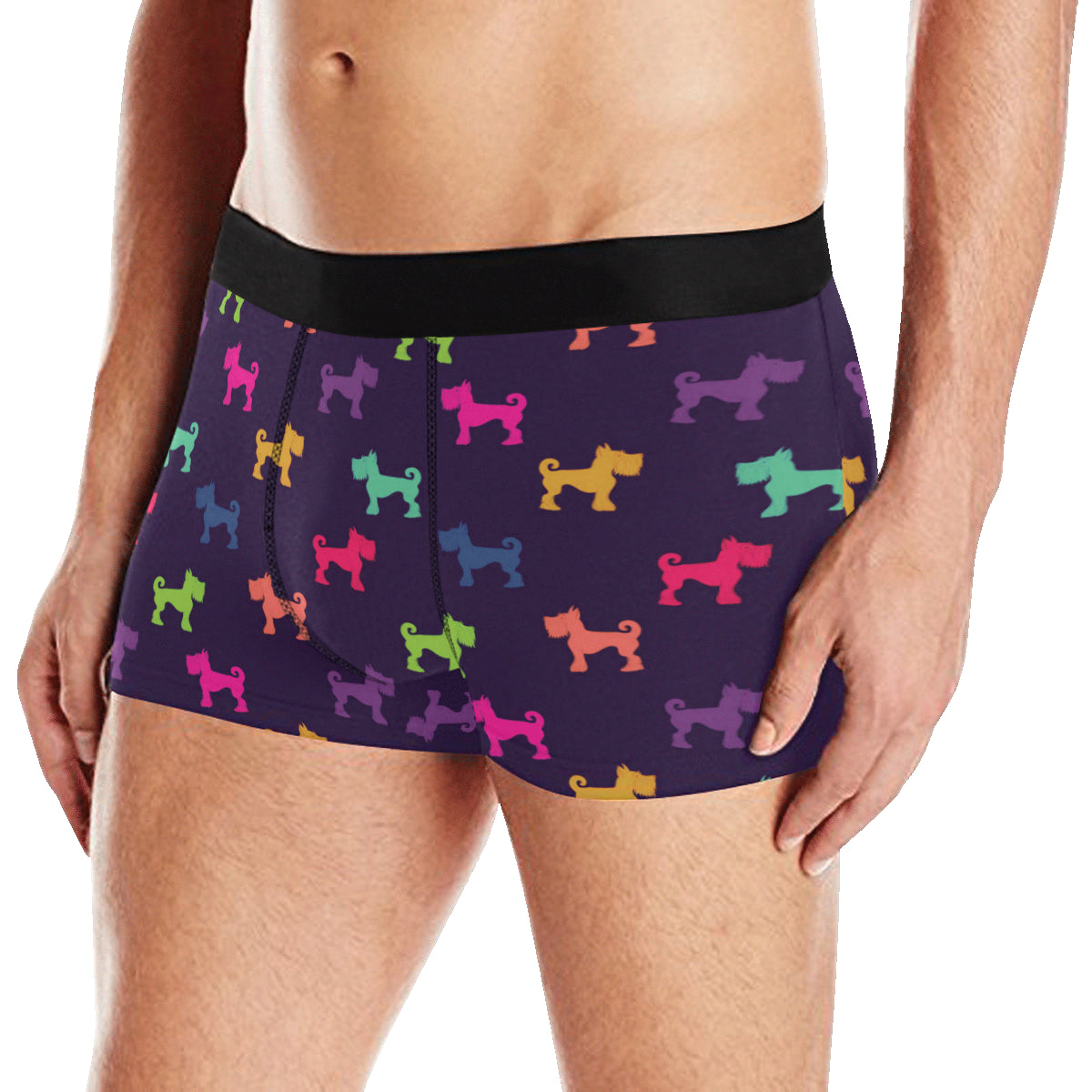 Schnauzers Pattern Print Design A05 Men's Boxer Briefs