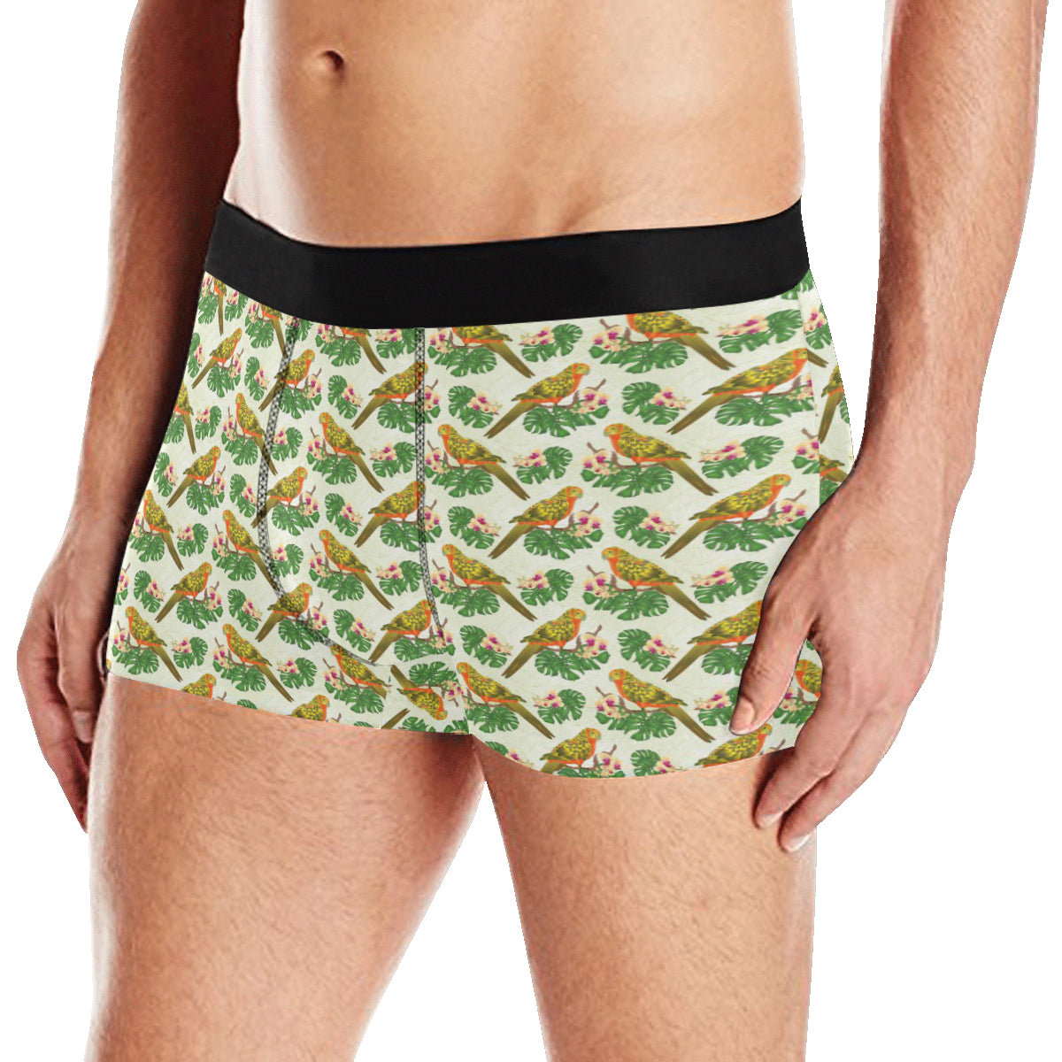 Conures Pattern Print Design 01 Men's Boxer Briefs