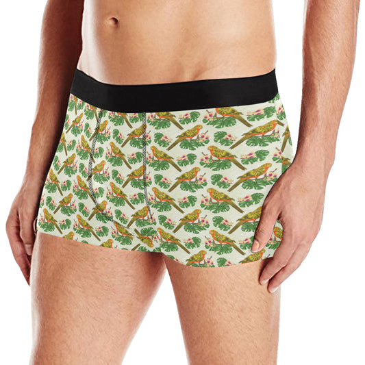 Conures Pattern Print Design 01 Men's Boxer Briefs
