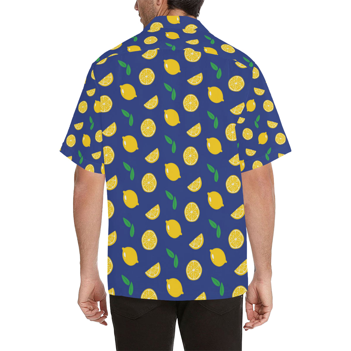 Citrus  Pattern Print Design 02 Men's Hawaiian Shirt