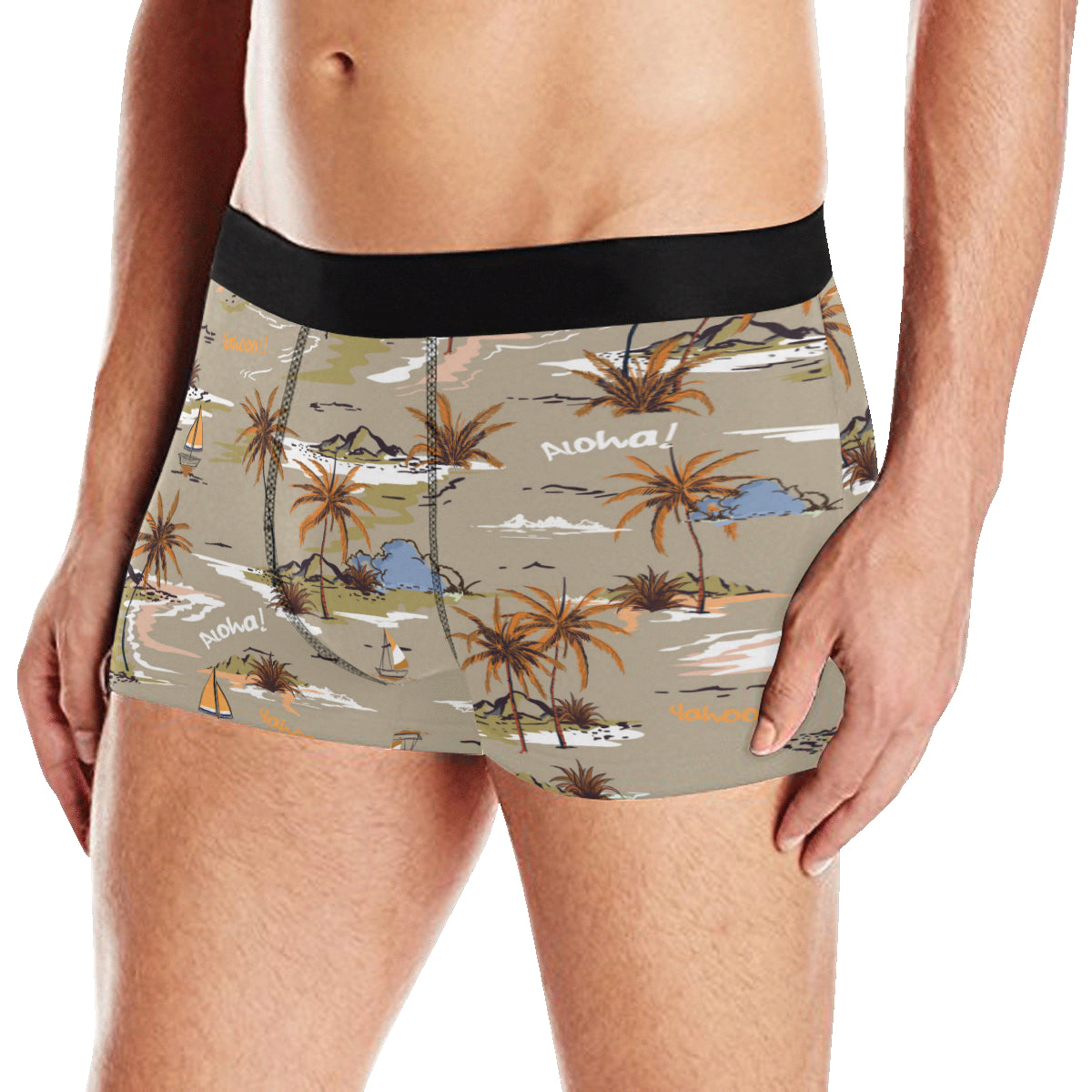 Pacific island Pattern Print Design A05 Men's Boxer Briefs