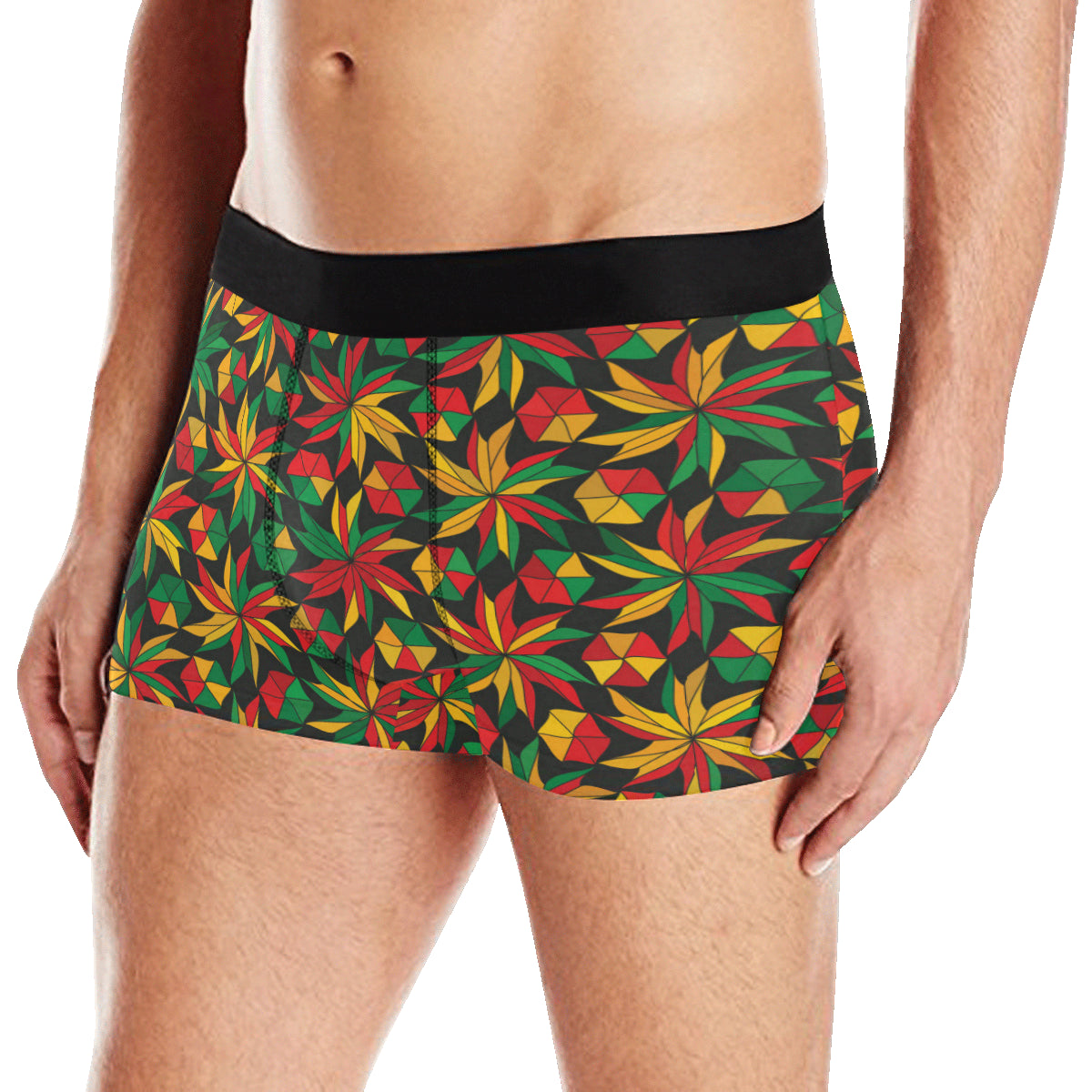 Rastafarian Pattern Print Design A03 Men's Boxer Briefs