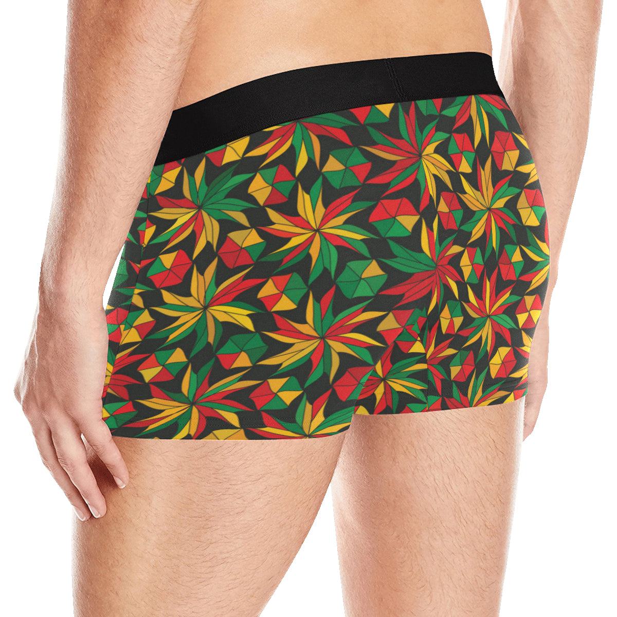 Rastafarian Pattern Print Design A03 Men's Boxer Briefs
