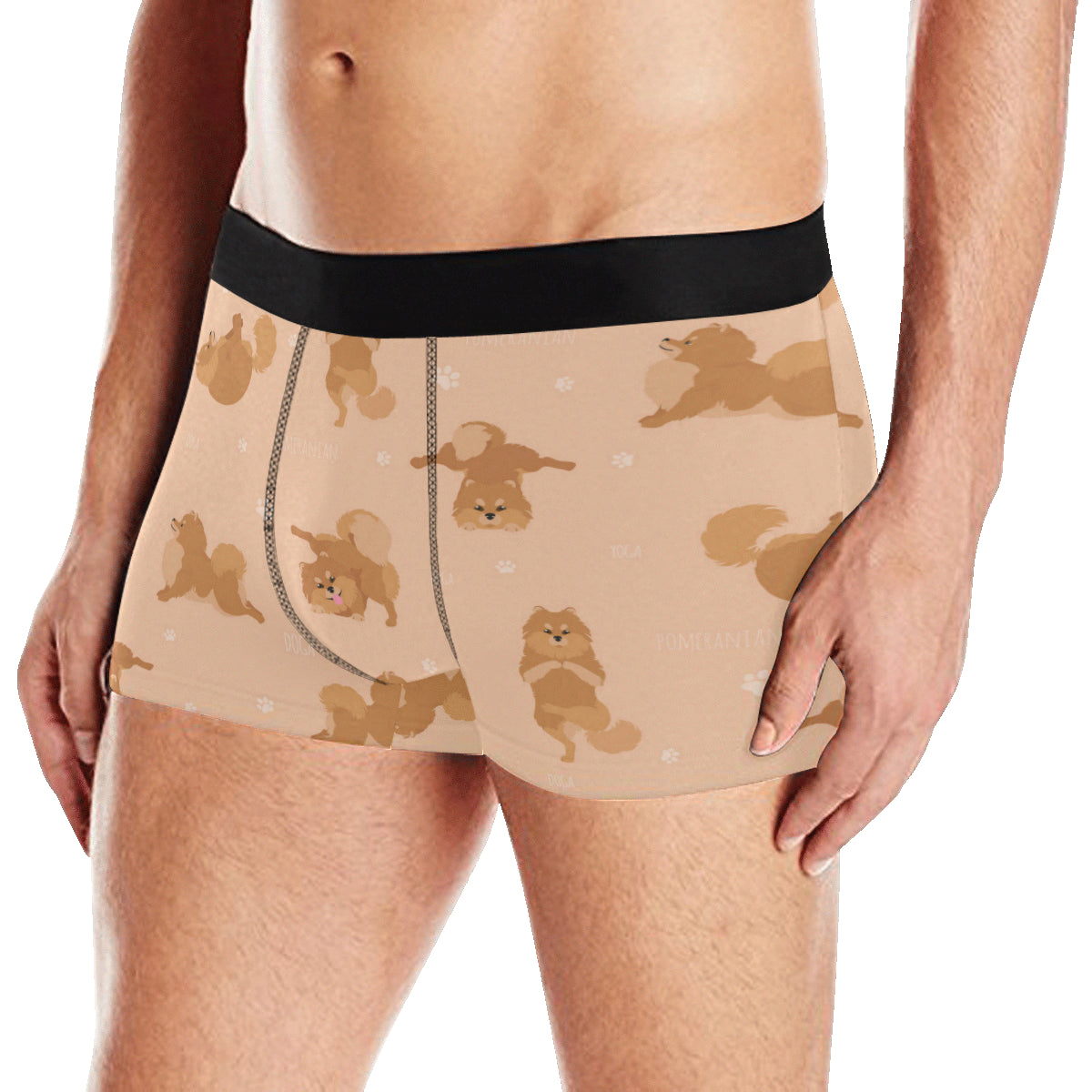Pomeranians Pattern Print Design A06 Men's Boxer Briefs