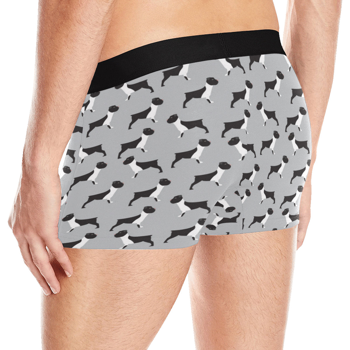Boxers Pattern Print Design 01 Men's Boxer Briefs