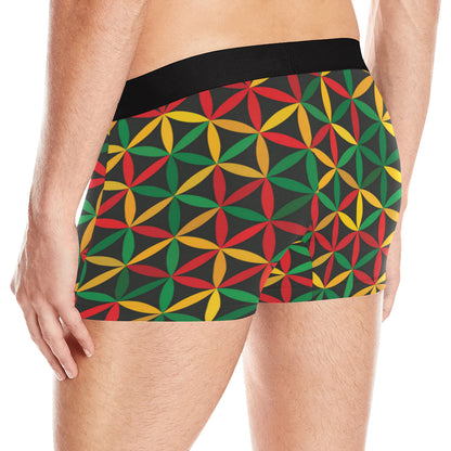 Rasta Pattern Print Design A04 Men's Boxer Briefs