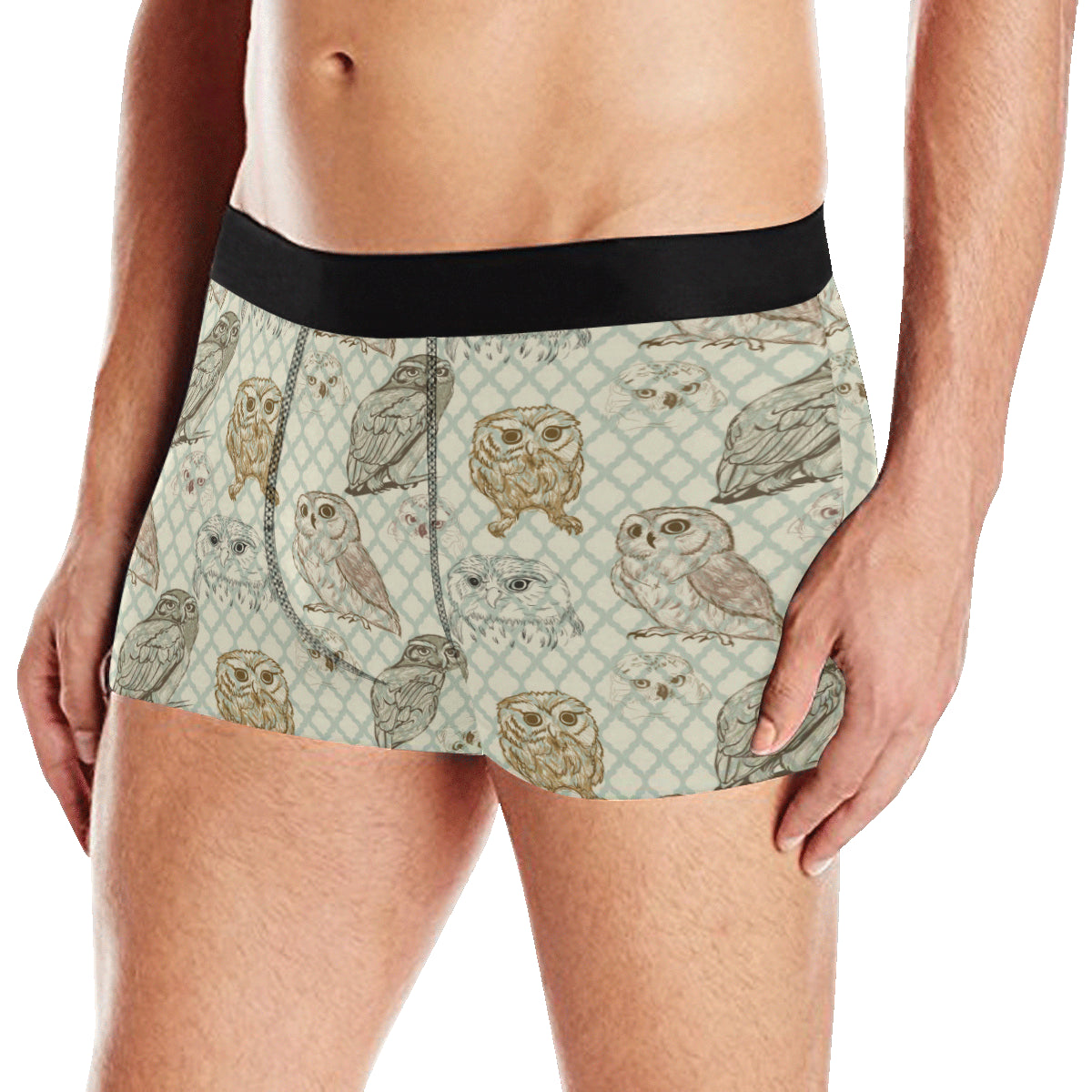 Owl Pattern Print Design A03 Men's Boxer Briefs