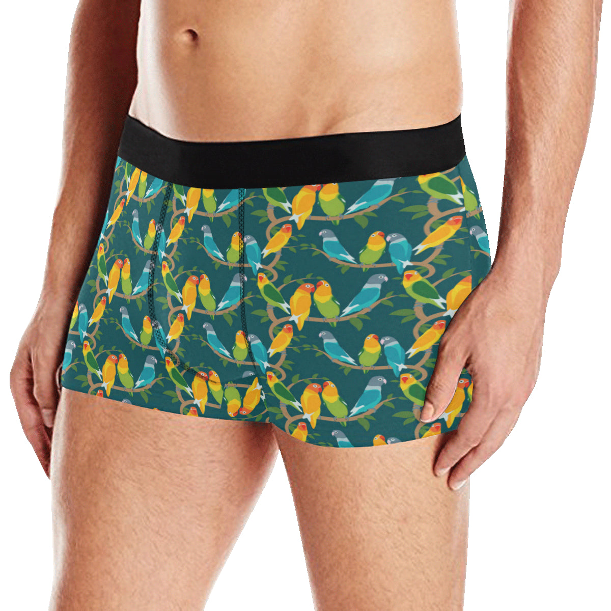 Lovebird Pattern Print Design 02 Men's Boxer Briefs